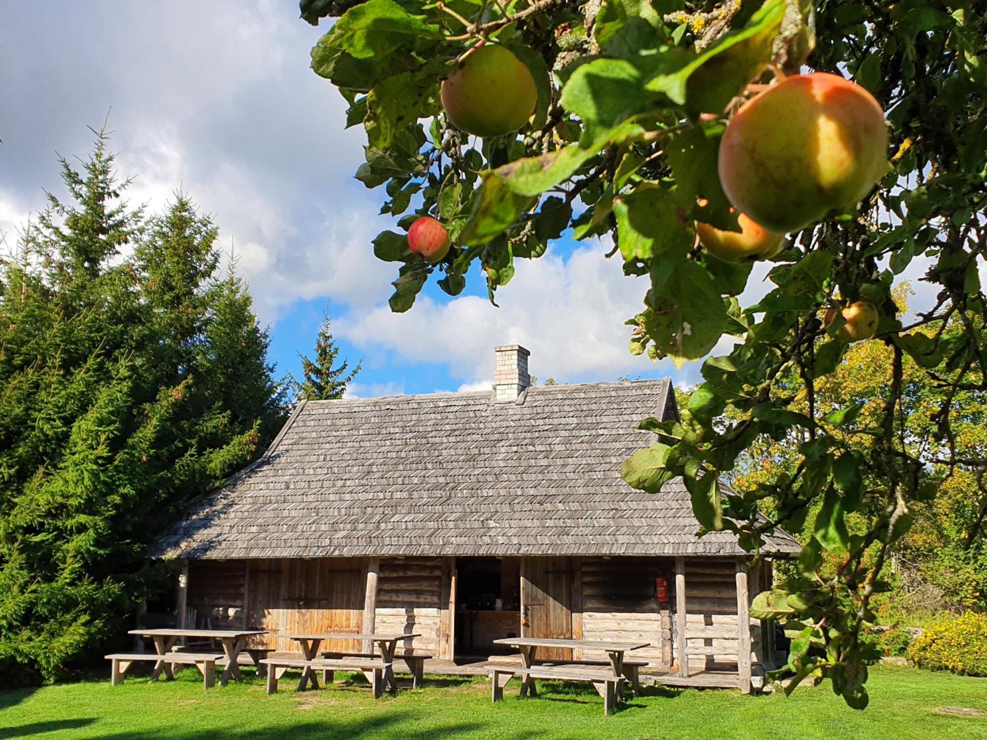Вилла Anni Tourism Farm Tammese Экстерьер фото